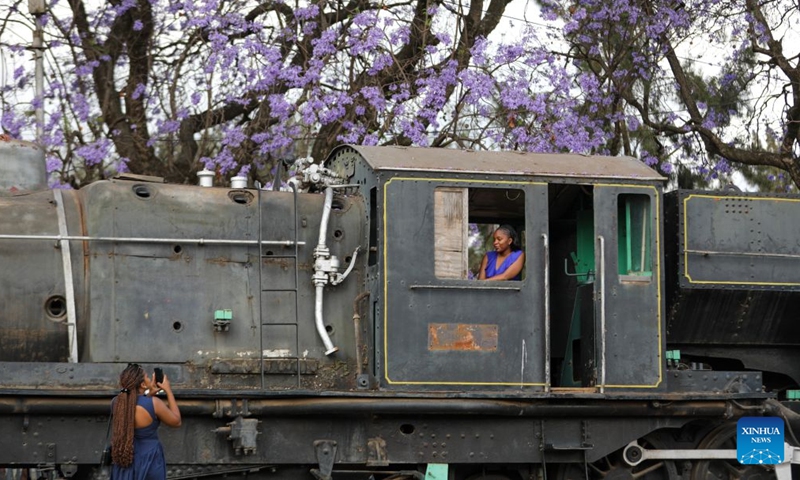 A woman poses for photos in an old locomotive with blooming jacaranda trees in the background in Nairobi, Kenya, Oct. 10, 2026. Jacaranda trees in Nairobi bloom from September to November every year. (Xinhua/Liu Jiaqi)

