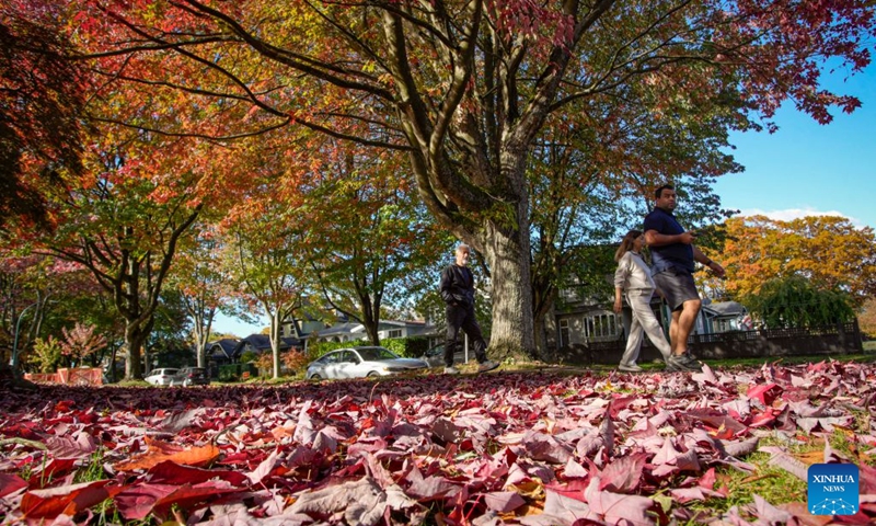 People walk along a street lined with trees displaying autumn foliage in Vancouver, British Columbia, Canada, Oct. 10, 2026. (Photo by Liang Sen/Xinhua)