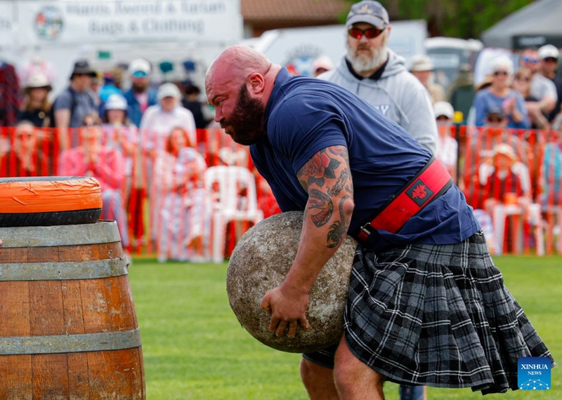A competitor takes part in the stone-lifting competition during the Canberra Highland Gathering in Canberra, Australia, on Oct. 10, 2026. The Scottish cultural event featuring traditional sports, bagpipe and drum performances, dance and traditional food was held in Canberra on Saturday. (Photo by Chu Chen/Xinhua)