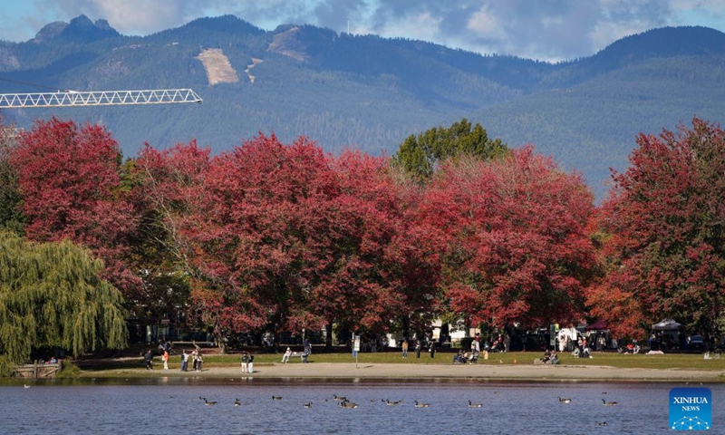 Autumn foliage is seen at a park in Vancouver, British Columbia, Canada, Oct. 10, 2026. (Photo by Liang Sen/Xinhua)