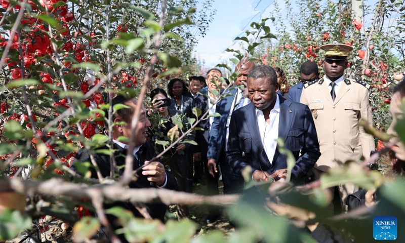 President of the Council of Ministers of Togo Faure Essozimna Gnassingbé visits an apple orchard in Nangou Village of Yan'an City, northwest China's Shaanxi Province, Oct. 10, 2026. Faure visited localities in Shaanxi Province from Oct. 9 to 11 during his official visit to China. (Xinhua/Li Yibo)

