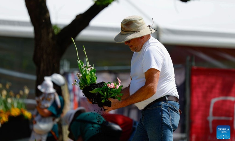 A man digs up flower bulbs during the Great Big Bulb Dig event at Commonwealth Park in Canberra, Australia, on Oct. 12, 2026. The Great Big Bulb Dig, held annually following the end of the Floriade flower festival, attracted a large number of visitors to dig up and take home flower bulbs and annuals from the festival's display beds. (Photo by Chu Chen/Xinhua)