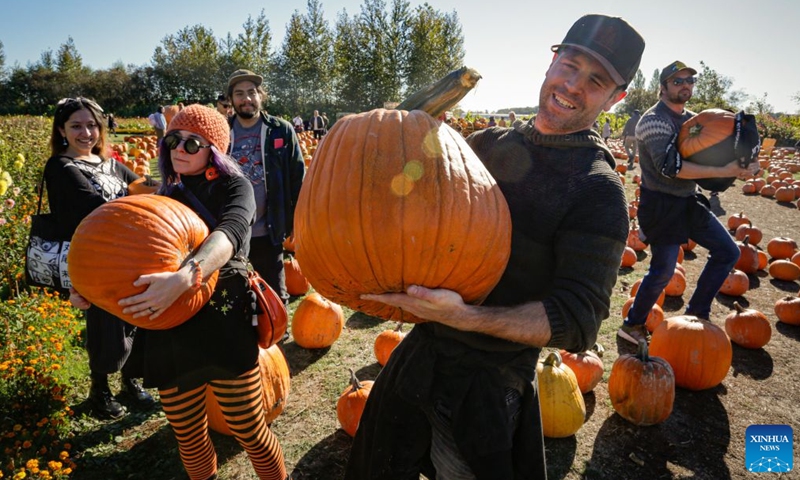 People hold the pumpkins they selected at a farm in Richmond, British Columbia, Canada, Oct. 11, 2026. Visiting pumpkin patches is a popular autumn activity in Canada, attracting families to local farms to enjoy the harvest season. (Photo by Liang Sen/Xinhua)