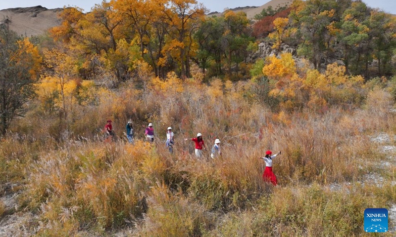 A drone photo taken on Oct. 11, 2026 shows tourists enjoying sightseeing at the Huyangxia scenic spot in the Kazak Autonomous County of Aksay, northwest China's Gansu Province. (Photo by Gao Hongshan/Xinhua)
