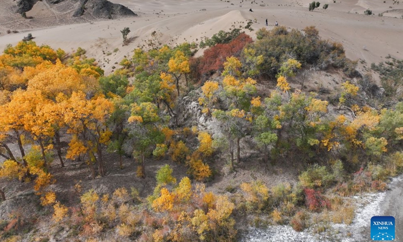 A drone photo taken on Oct. 11, 2026 shows an autumn view of the Huyangxia scenic spot in the Kazak Autonomous County of Aksay, northwest China's Gansu Province. (Photo by Gao Hongshan/Xinhua)