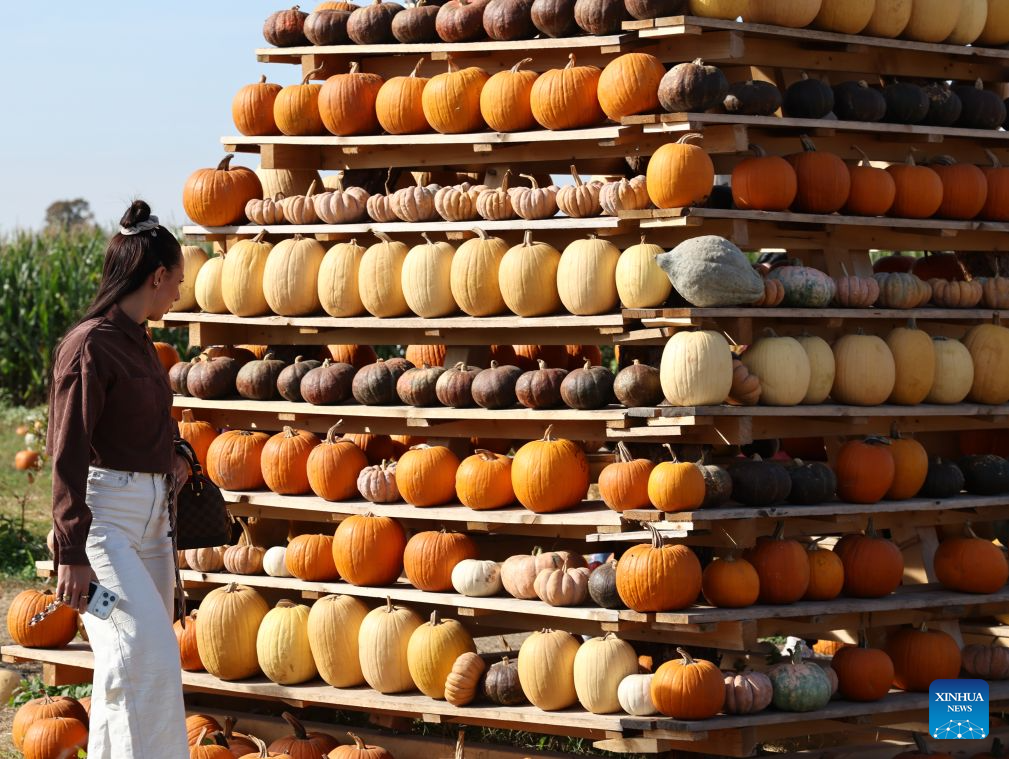 A woman visits the Pumpkin Village in Treviso, Italy, Oct. 19, 2026. (Photo by Alberto Lingria/Xinhua)