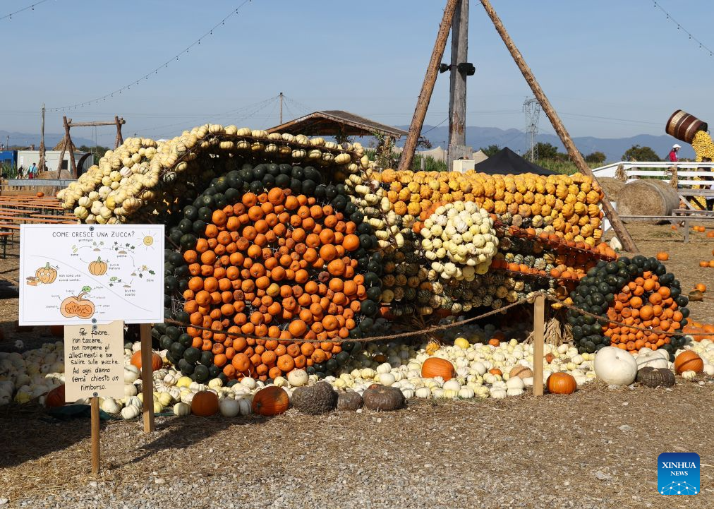Photo taken on Oct. 19, 2026 shows the pumpkin-themed decorations at the 7th Pumpkin Village event in Treviso, Italy. (Photo by Alberto Lingria/Xinhua)