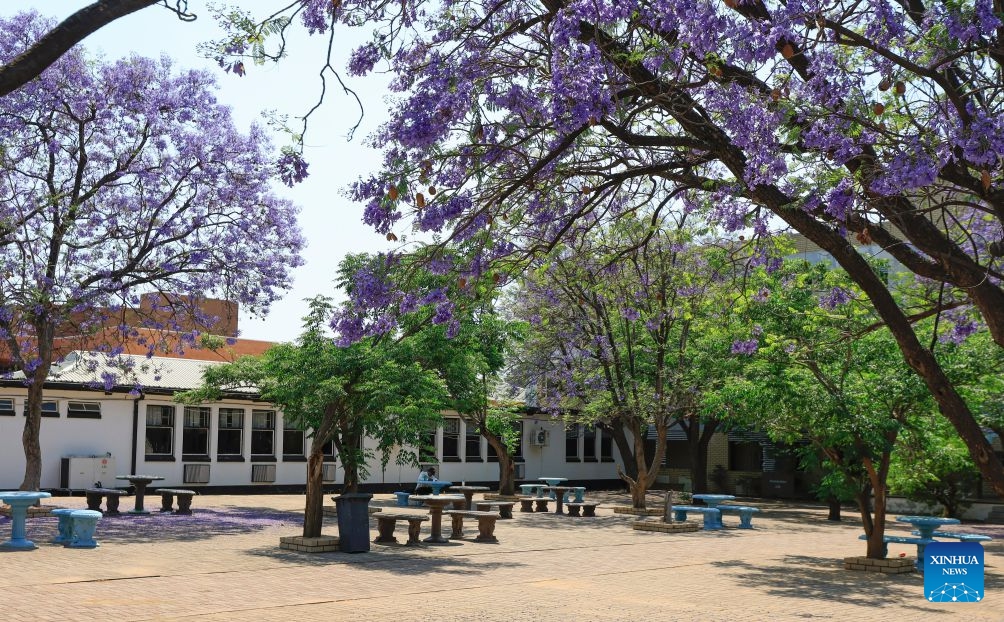 This photo taken on Oct. 10, 2026 shows a view of University of Botswana in Gaborone, Botswana. Gaborone, the capital and the largest city of Botswana, serves as the country's political, economic, cultural and financial center. (Photo: Xinhua)