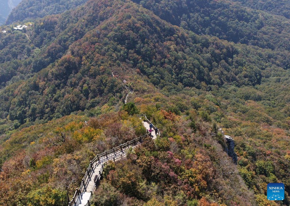 An aerial drone photo taken on Oct. 13, 2026 shows tourists visiting Yuntai Mountain scenic spot in Jiaozuo, central China's Henan Province. (Photo: Xinhua)