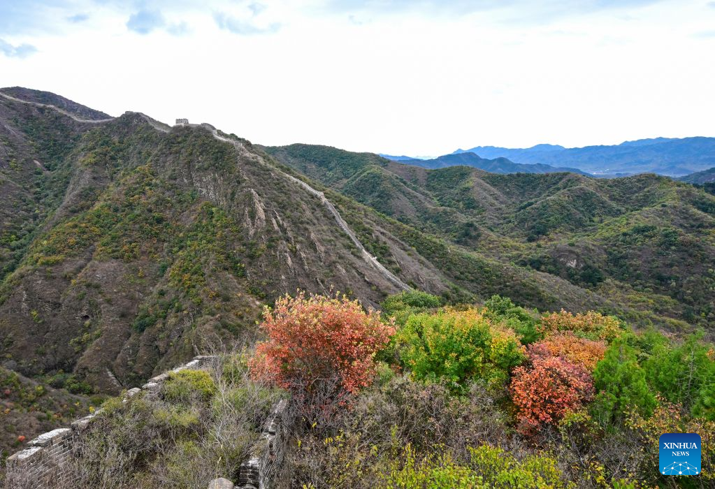 This photo taken on Oct. 20, 2026 shows a view of the Xiangshuihu section of the Great Wall in Huairou District of Beijing, capital of China. (Xinhua/Chen Yehua)