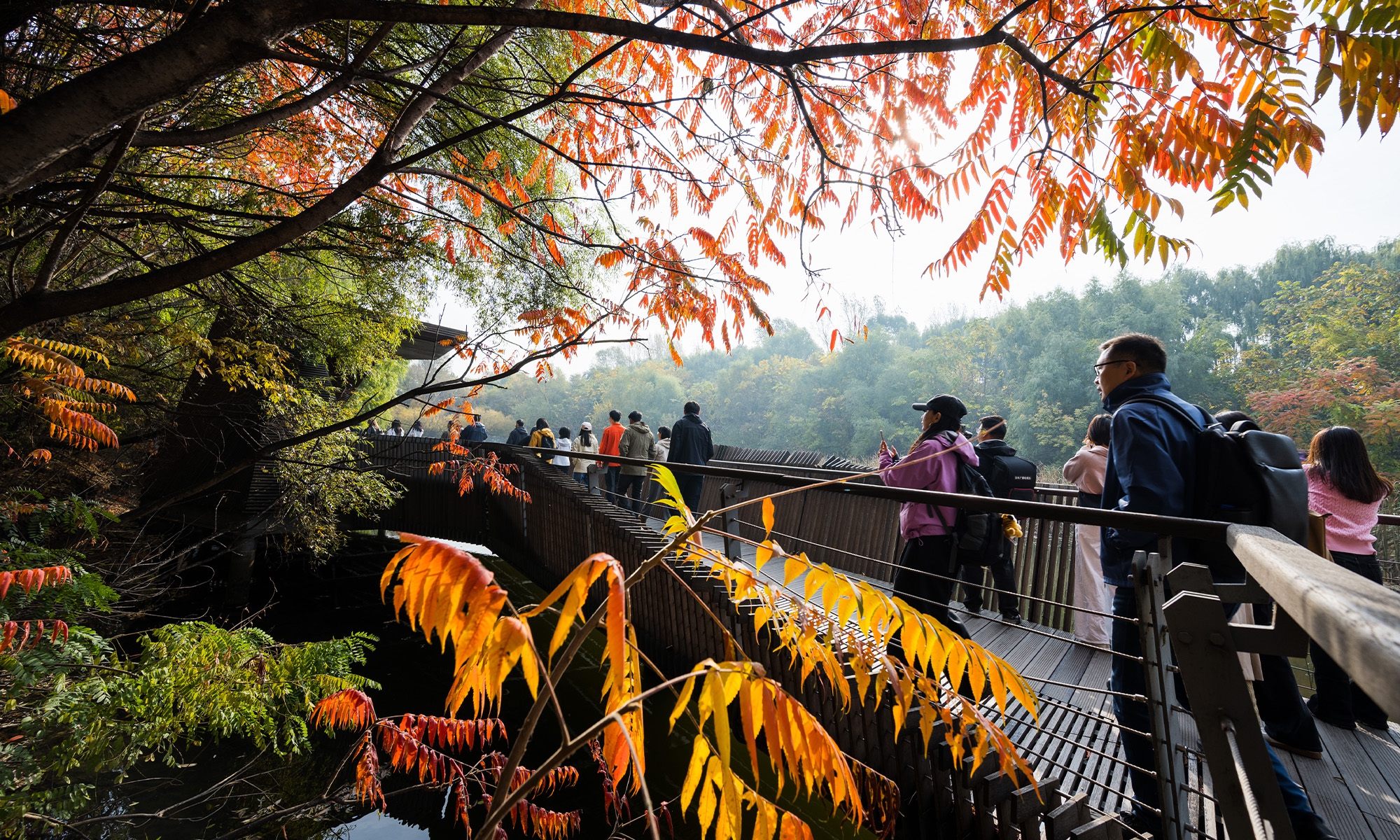 Visiting Changchun’s ‘urban green lung’ and ecological countryside  Photo: Chen Tao/Global Times