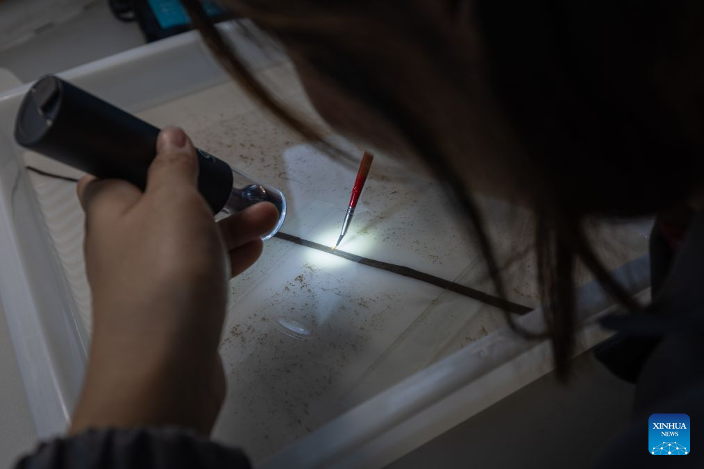 A staff member clears a bamboo slip at the cultural relics protection center in Jingzhou, central China's Hubei Province, Oct. 19, 2026.
Established in 2003, the cultural relics protection center in Jingzhou undertakes the conservation of about 80 percent of China's waterlogged bamboo and wooden slips. The center has developed comprehensive conservation techniques for such slips, covering sectors from archaeological excavation and laboratory conservation to display and storage.
To date, the center has provided technical support in cultural relic conservation to more than 130 cultural and museum institutions across the country, and has restored more than 10,000 lacquered wooden artifacts, over 180,000 bamboo and wooden slips, and more than 1,100 textile artifacts. (Xinhua/Xiao Yijiu)
