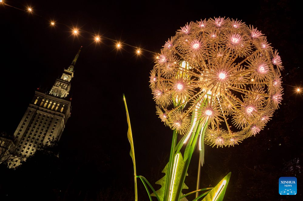 This photo taken on Oct. 15, 2026 shows an illuminated plant installation in a light garden in Swietokrzyski Park, with the Palace of Culture and Science in the background, in Warsaw, Poland. The year-round light garden opened on Thursday, featuring illuminated plant and butterfly installations and interactive projections that respond to visitors' movements. (Photo by Jaap Arriens/Xinhua)