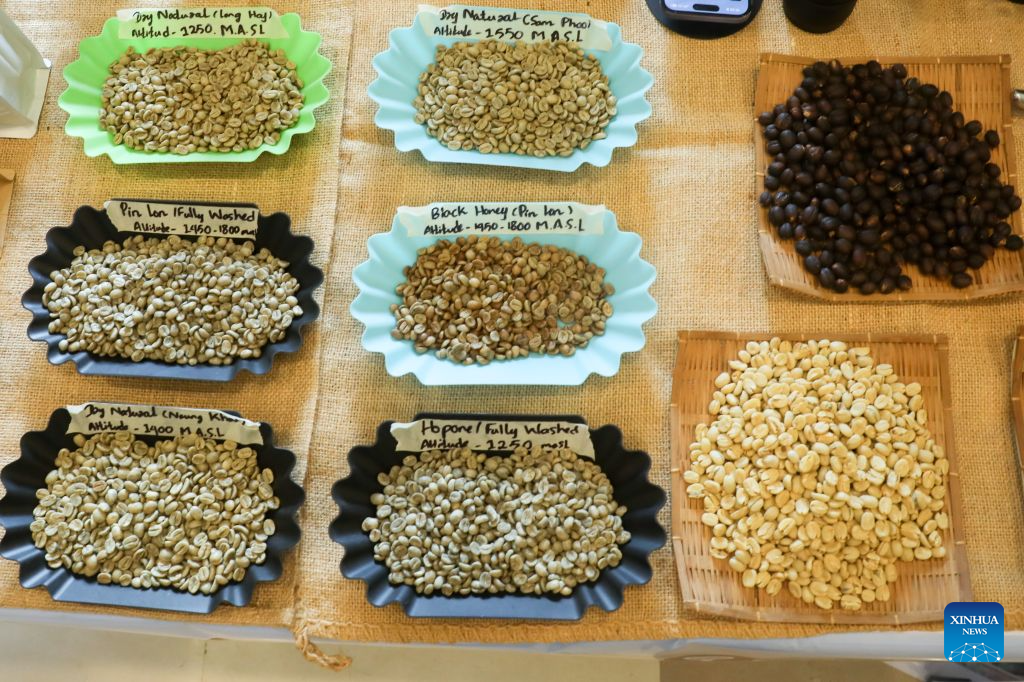 Coffee beans are displayed at the 2026 Myanmar Coffee Festival and Myanmar National Barista Championship in Yangon, Myanmar, Oct. 18, 2026. (Xinhua/Myo Kyaw Soe)