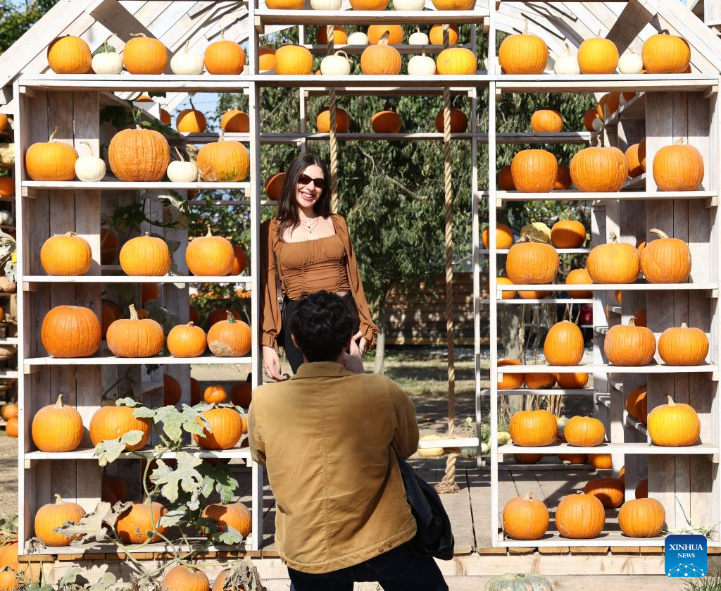 People take photos at the 7th Pumpkin Village event in Treviso, Italy, Oct. 19, 2026. (Photo by Alberto Lingria/Xinhua)