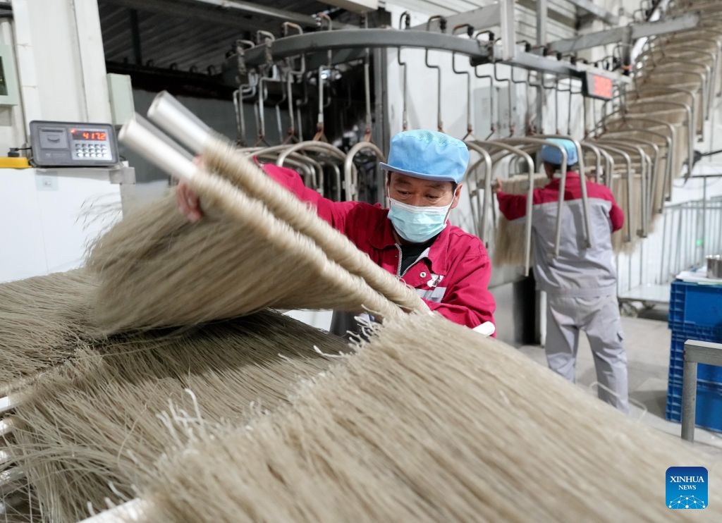Workers operate at the workshop of a sweet potato deep processing enterprise in Lulong County, north China's Hebei Province, Oct. 12, 2026. Leveraging its sandy soil, Lulong County has encouraged local farmers to grow high-quality sweet potatoes in recent years. The county has also introduced enterprises for deep processing of sweet potato products. These efforts have helped form an industrial chain covering sweet potato seedling cultivation, planting, deep processing and sales here, effectively boosting farmers' incomes. According to local authorities, the county's sweet potato planting area now exceeds 120,000 mu (about 8,000 hectares). (Photo: Xinhua)