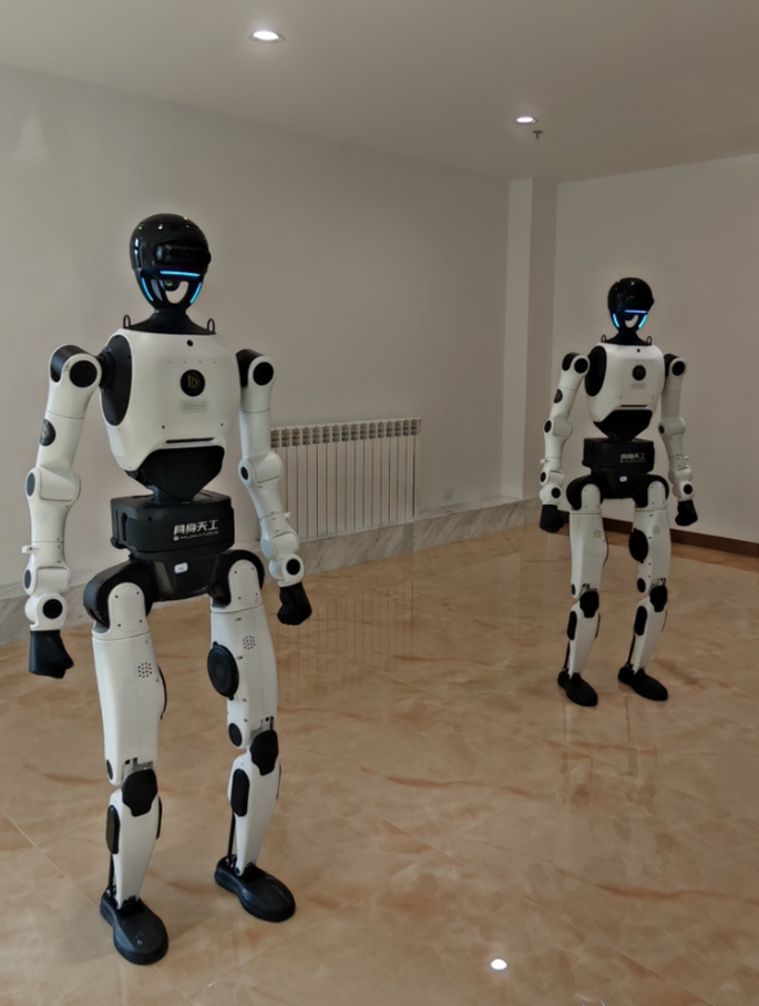 TienKung 3.0 humanoid robots are on display at an industrial park in the Urumqi Economic and Technological Development Zone on October 12, 2026. Photo: Courtesy of Xinjiang Dadao Industrial Investment Co Ltd