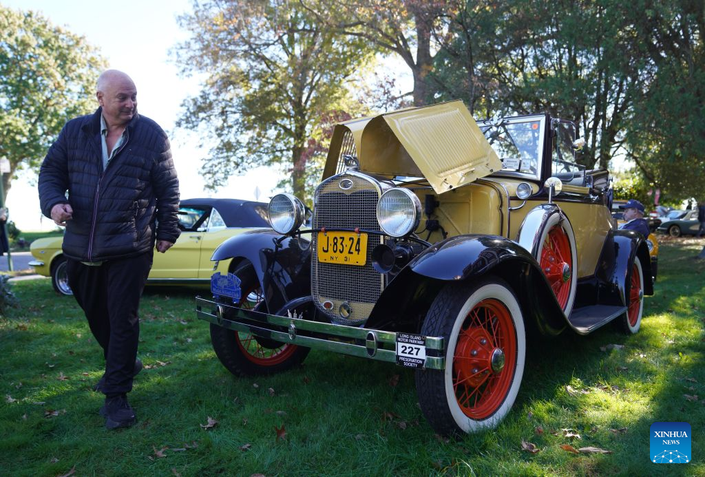 A man views an exhibit during a vintage car show at Fort Totten in New York, the United States, Oct. 18, 2026. An annual vintage car show to greet autumn was held here on Sunday. (Xinhua/Zhang Fengguo)