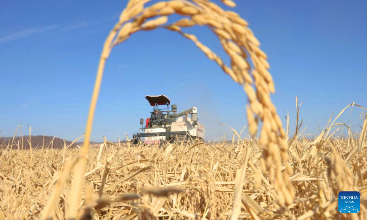 A farmer operates an agricultural machine to harvest rice at a farm under Beidahuang Group in northeast China's Heilongjiang Province, Oct. 15, 2026. The autumn harvest in Heilongjiang, a northeastern province known as China's