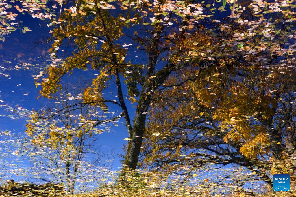 Photo taken on Oct. 19, 2026 shows the autumn scenery in Sigulda, Latvia. (Photo by Edijs Palens/Xinhua)