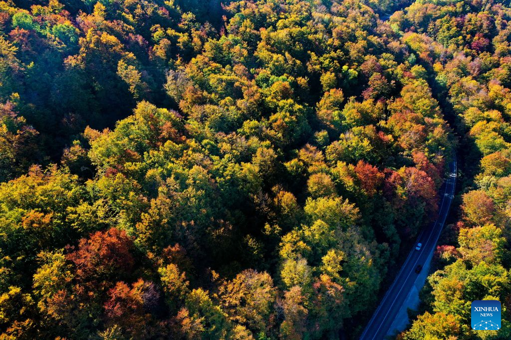 An aerial drone photo shows scenery at Mavrovo National Park in Mavrovo, North Macedonia, Oct. 19, 2026. (Photo by Tomislav Georgiev/Xinhua)