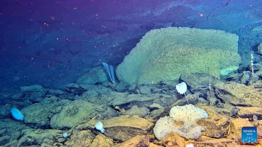 An underwater observational footage is captured by the manned deep-sea submersible Jiaolong, on Oct. 11, 2026. China's manned deep-sea submersible Jiaolong successfully completed its 467th dive. The dive reached a depth of approximately 4,400 meters. (Photo: Xinhua)
