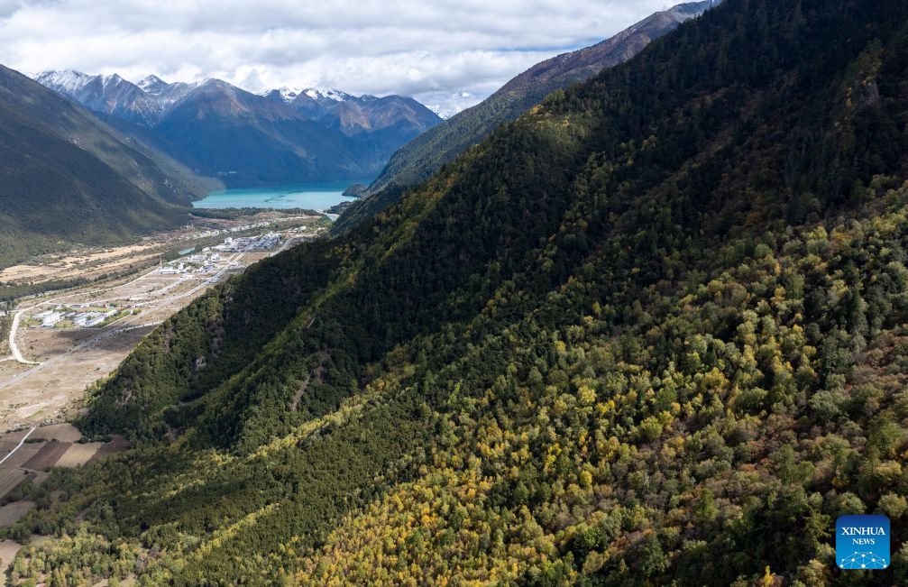 An aerial drone photo taken on Oct. 12, 2026 shows scenery near Basomtso scenic area, a national 5A tourist attraction, in Nyingchi, southwest China's Xizang Autonomous Region. (Photo: Xinhua)