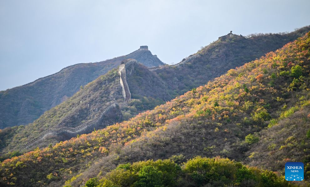 This photo taken on Oct. 20, 2026 shows a view of the Xiangshuihu section of the Great Wall in Huairou District of Beijing, capital of China. (Xinhua/Chen Yehua)