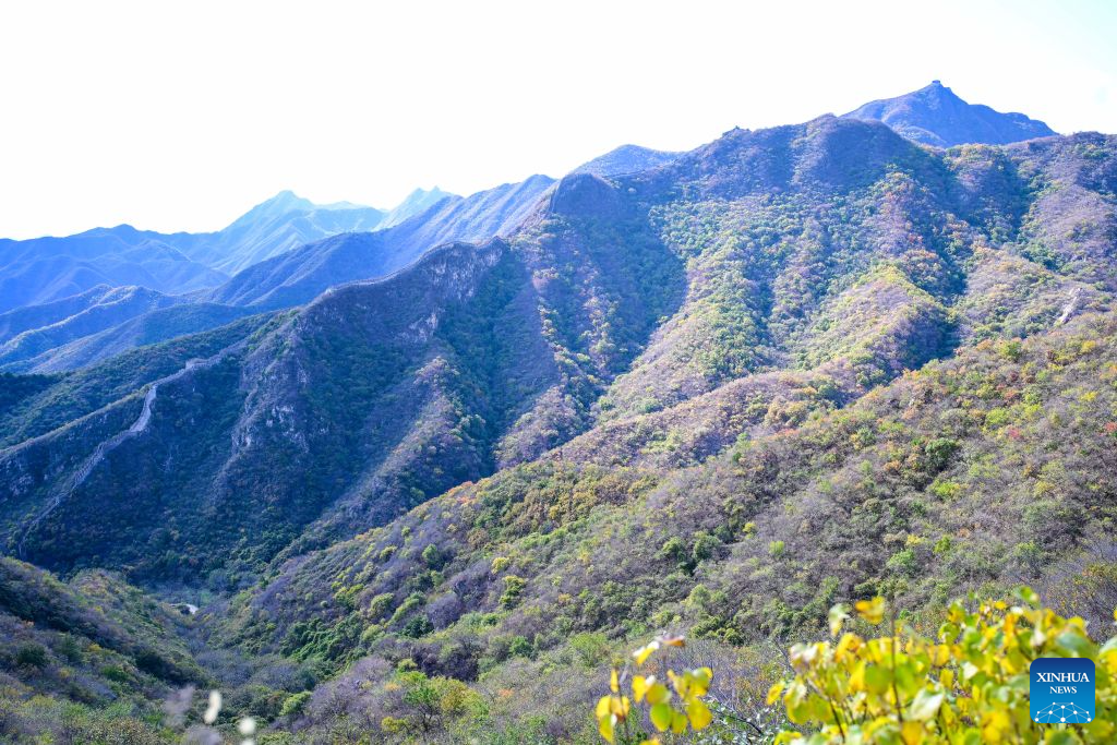 This photo taken on Oct. 20, 2026 shows a view of the Xiangshuihu section of the Great Wall in Huairou District of Beijing, capital of China. (Xinhua/Chen Yehua)