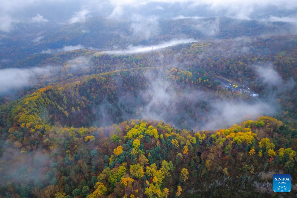 An aerial drone photo taken on Oct. 4, 2026 shows the autumn scenery around a volcanic crater at the Jingpohu Global Geopark in Mudanjiang City, northeast China's Heilongjiang Province. (Photo by Wang Baoxun/Xinhua)