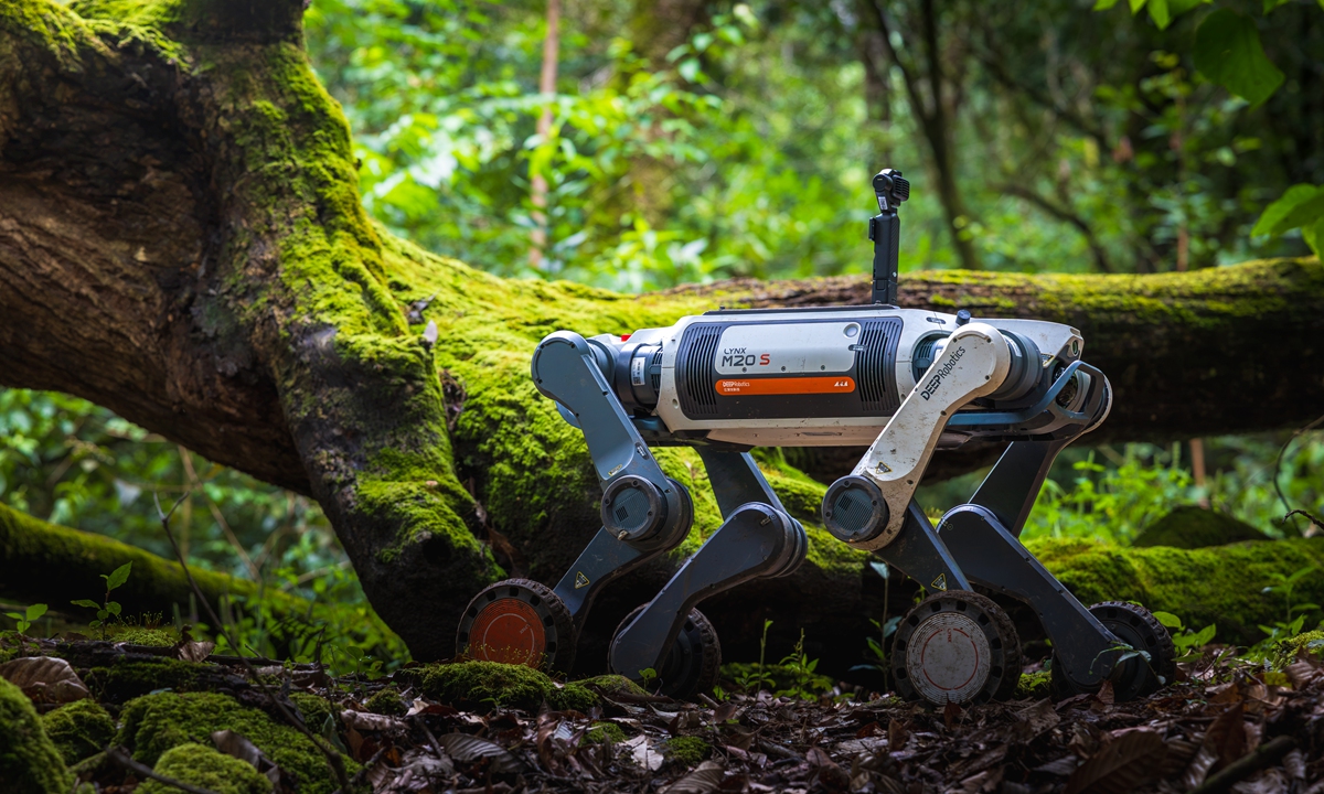 The LYNX M20S robot dog works in the forest. Photo: Courtesy of DEEP Robotics