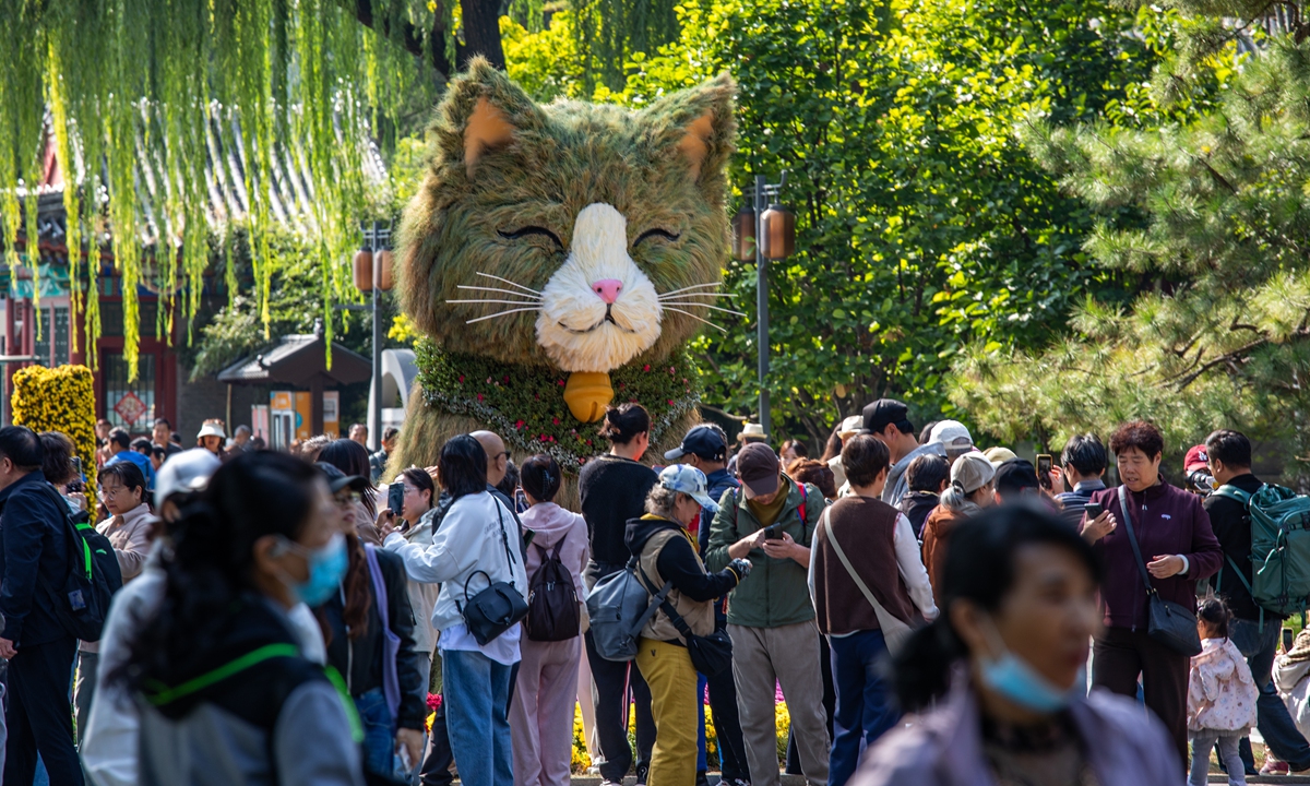 Tourists visit the chrysanthemum exhibition centered around a giant straw-woven cat at Ritan Park in Beijing on October 14, 2026. The structure has emerged as an iconic photo spot for the exhibition, now in its prime viewing period during autumn. Photo: VCG