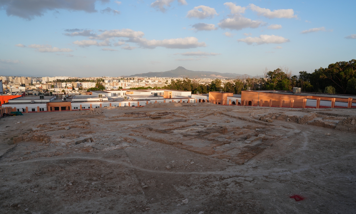 The?Ben Arous Forest site in Tunisia  Photo: Courtesy of China's National Cultural Heritage Administration