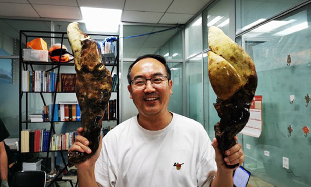 A member of the research team from the Kunming Institute of Botany under the Chinese Academy of Sciences poses for a picture with the newly discovered Dianjunus rex. Photo: Courtesy of the Kunming Institute of Botany under the Chinese Academy of Sciences