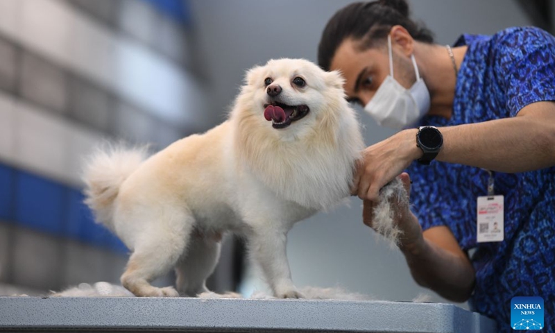 A pet groomer trims a dog's fur at the Tehran Pet Hospital in Tehran, Iran, Oct. 13, 2026. Tehran Pet Hospital is the first one of its kind in the city, offering a full range of diagnostic and treatment services for pets through its two round-the-clock branches. (Photo: Xinhua)