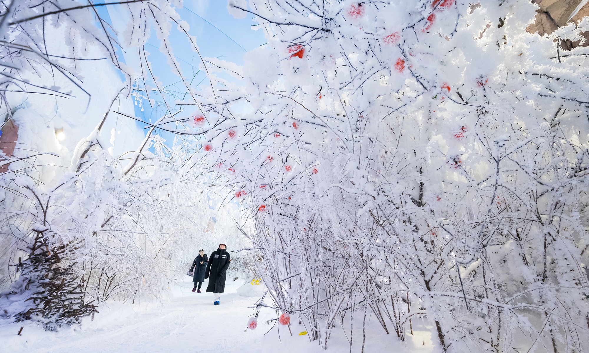 Walking in eastern Jilin, witnessing a beautiful China  Photo: Chen Tao/Global Times
 
