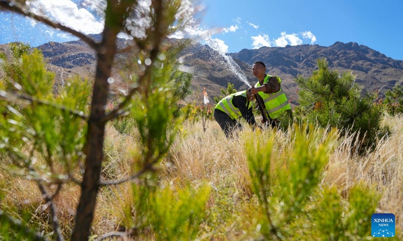 Maintenance and protection workers maintain an irrigation facility in the Shannan section of an afforestation project covering mountainous regions between Lhasa and Shannan, in Shannan City, southwest China's Xizang Autonomous Region, Oct. 17, 2026.