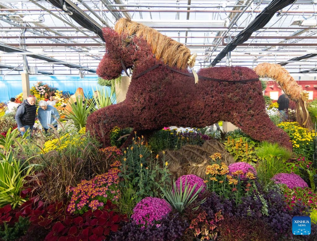 People view a floral installation during the 2026 Fall Floral Mum Show in Hamilton, Ontario, Canada, on Oct. 17, 2026. Featuring over 200 chrysanthemum varieties and more than 100,000 on-site blooms, the annual show kicked off here on Saturday and will last until Oct. 25. (Photo by Zou Zheng/Xinhua)