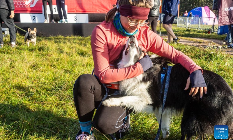 A participant interacts with her dog at the RAW PALEO Warsaw Dog Run in Warsaw, Poland, Oct. 17, 2026. Organized by the Warsaw Marathon Foundation, the event featured a roughly 5-kilometer canicross race for human-dog teams and an orienteering walk with dogs. (Photo by Jaap Arriens/Xinhua)