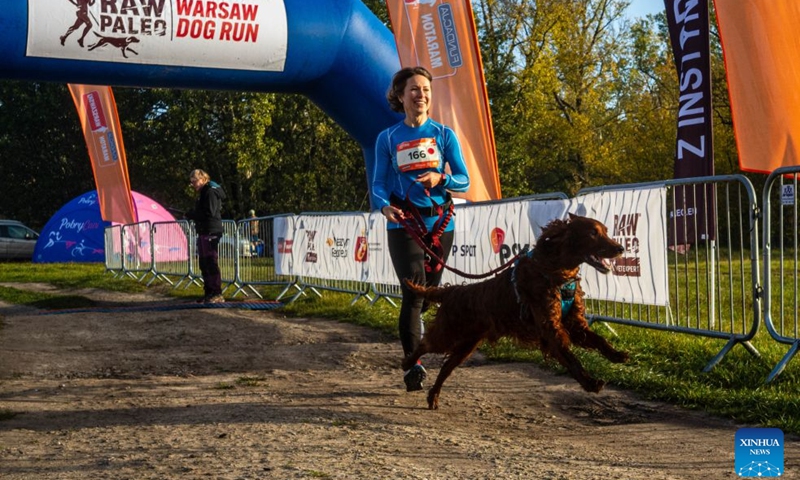 A participant runs with her dog during the RAW PALEO Warsaw Dog Run in Warsaw, Poland, Oct. 17, 2026. Organized by the Warsaw Marathon Foundation, the event featured a roughly 5-kilometer canicross race for human-dog teams and an orienteering walk with dogs. (Photo by Jaap Arriens/Xinhua)