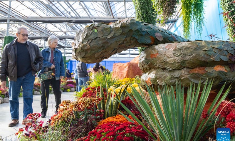 People view a floral installation during the 2026 Fall Floral Mum Show in Hamilton, Ontario, Canada, on Oct. 17, 2026. Featuring over 200 chrysanthemum varieties and more than 100,000 on-site blooms, the annual show kicked off here on Saturday and will last until Oct. 25. (Photo by Zou Zheng/Xinhua)