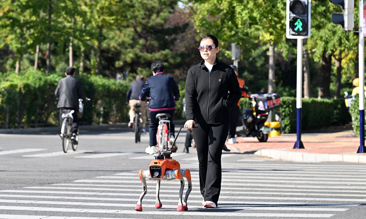 A person with vision impairment uses an intelligent robotic guide dog to cross the road in Tangshan, North China's Hebei Province, on October 19, 2026. The four-legged bionic robot, equipped with depth cameras, LiDAR and ultrasonic radars, has 360-degree environmental perception that allows it to accurately identify roadblocks, steps, traffic lights and more. Photo: VCG