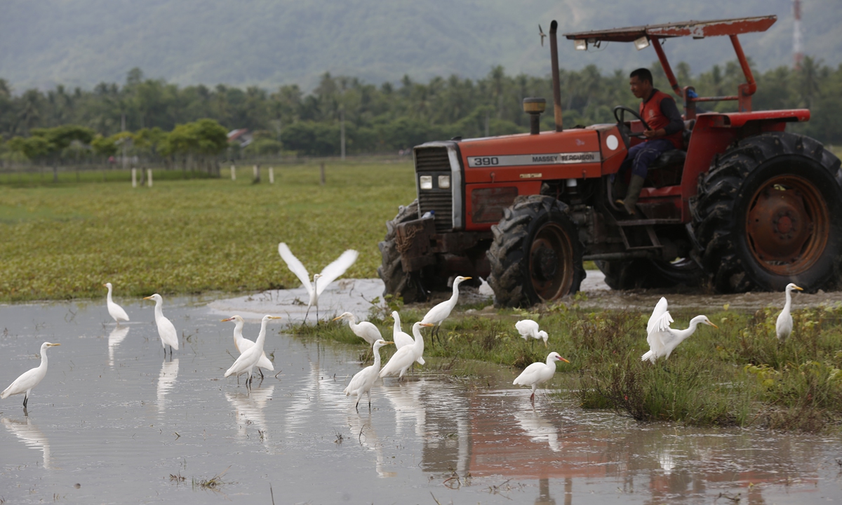 A farmer plows a rice field with a tractor at the start of the rice planting season in Darul Imarah subdistrict, Aceh Besar, Indonesia, on October 19, 2026. According to Indonesia's Meteorology, Climatology, and Geophysics Agency, El Nino-related weather has caused prolonged drought and increased the risk of wildfires across the country. Photo: VCG