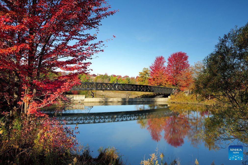 This photo taken on Oct. 18, 2026 shows an autumn view in the Greater Toronto Area in Ontario, Canada. (Photo: Xinhua)