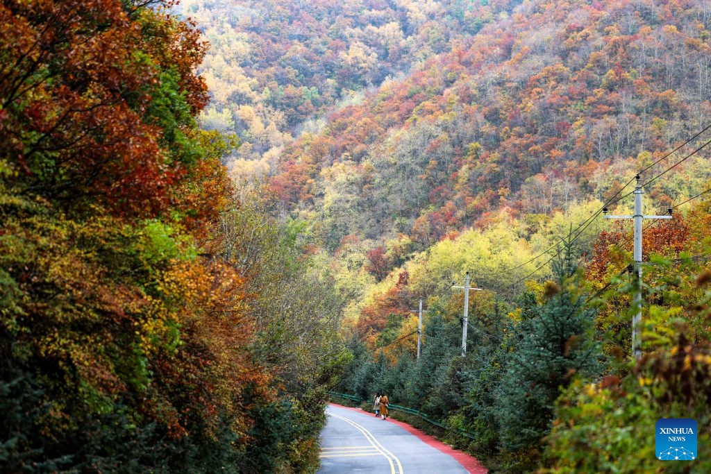 Tourists enjoy the autumn scenery at a national forest park in Lanzhou, northwest China's Gansu Province, Oct. 17, 2026. (Photo: Xinhua)