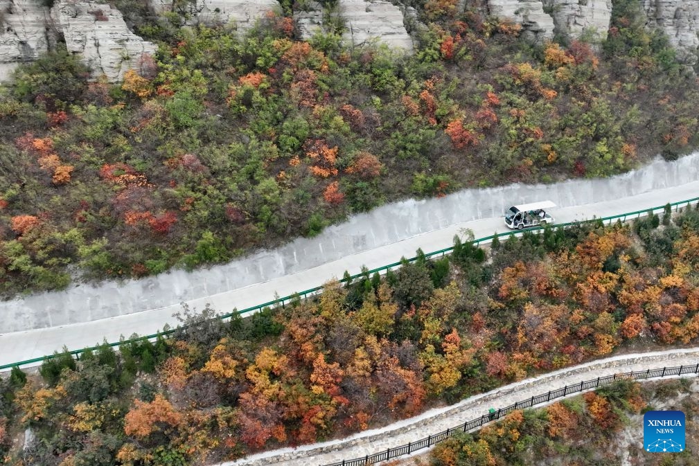 An aerial drone photo taken on Oct. 20, 2026 shows tourists enjoying autumn leaves at a scenic spot in Xingtai City, north China's Hebei Province. (Photo: Xinhua)