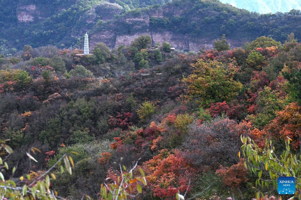 This photo taken on Oct. 20, 2026 shows an autumn view at Jiulongxia scenic spot in Xingtai City, north China's Hebei Province. (Photo: Xinhua)