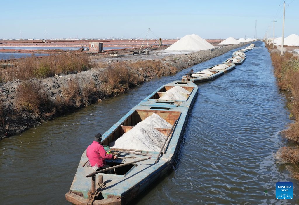 Workers transport harvested salt at Nanpu salt farm in Caofeidian District of Tangshan, north China's Hebei Province, Oct. 27, 2026. Recently, the 350,000 mu (about 23,333.3 hectares) salt fields at Nanpu salt farm have entered the autumn harvesting season. This year, the total sea salt production at Nanpu salt farm is expected to reach 1.5 million tonnes. (Photo: Xinhua)