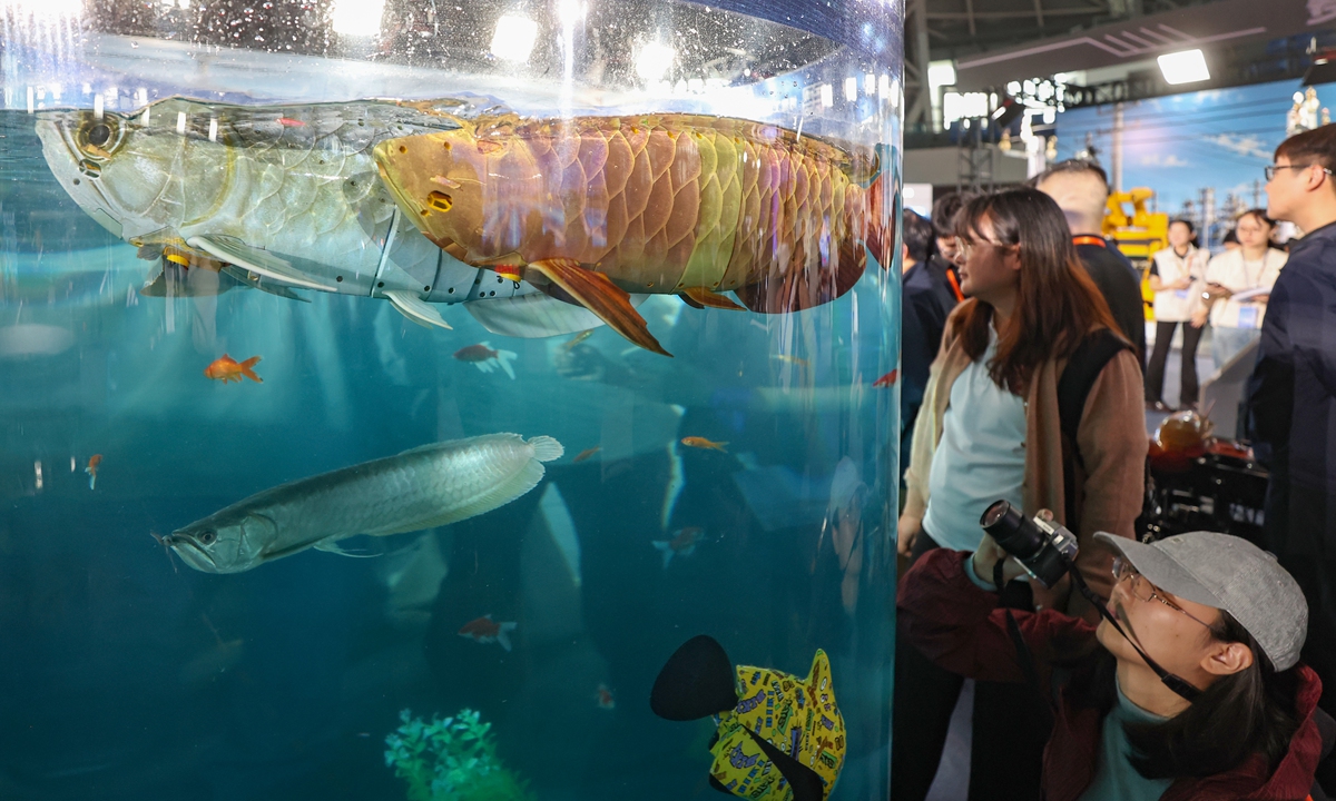 Visitors watch bionic robot fish on display at an exhibition on smart robots in Nanjing, East China's Jiangsu Province, on October 20, 2026. More than 50 Chinese sci-tech innovation enterprises brought a diverse array of over 100 robots to the show, outlining a future in which robots empower all industries and connect numerous links in production and daily life. Photo: VCG
