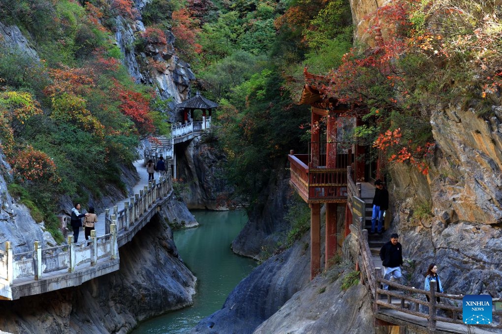 Tourists visit the Xixiasong scenic area in Chengxian County, Longnan City of northwest China's Gansu Province, Oct. 19, 2026.  (Photo: Xinhua)